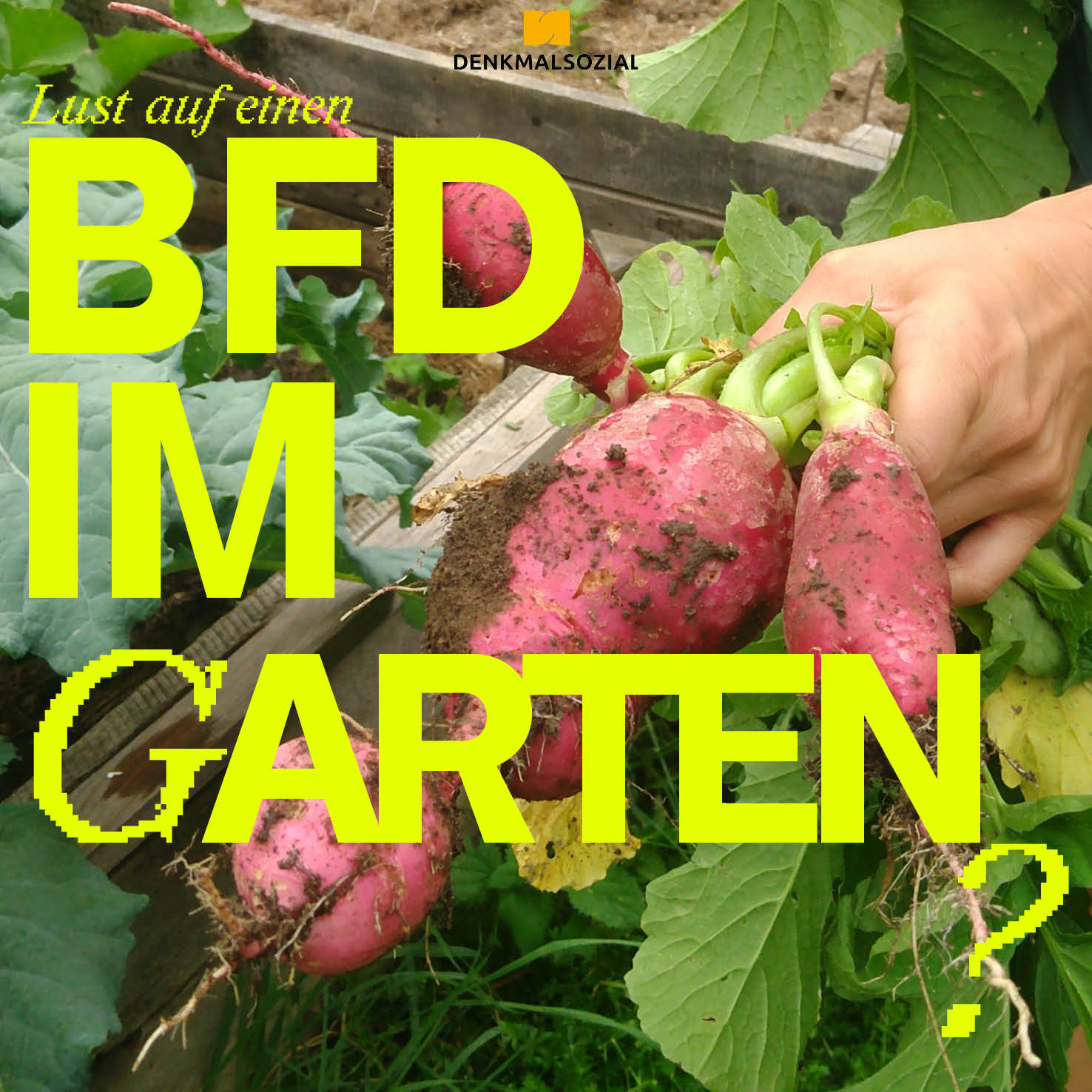 Garten_BfdStelle.jpg