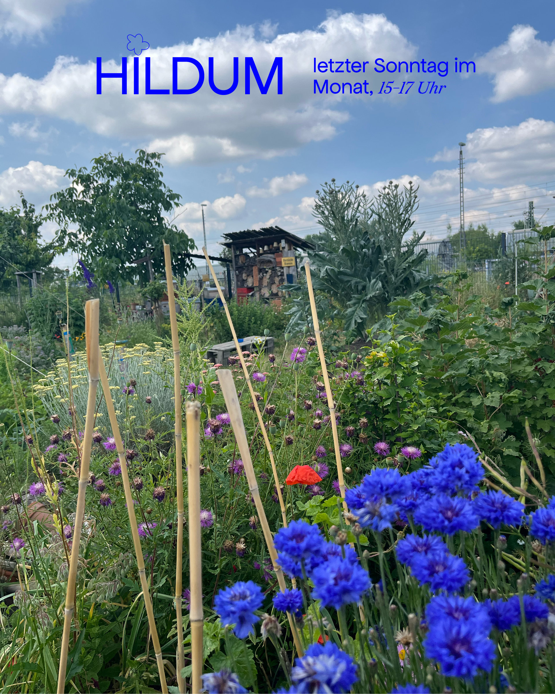 hildum.jpg